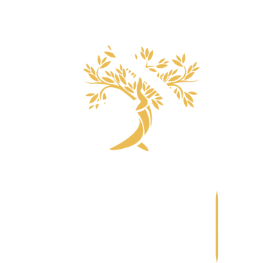 LOGO Sénas En tête site 1